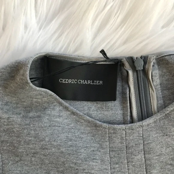 • Cedric Charlier • Seamed Knit Dress Gray 6 - Picture 5 of 5